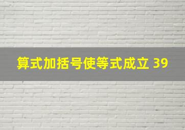 算式加括号使等式成立 39